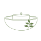 HLC__ICON_LICHEN_5 HLC__ICON_LICHEN_5